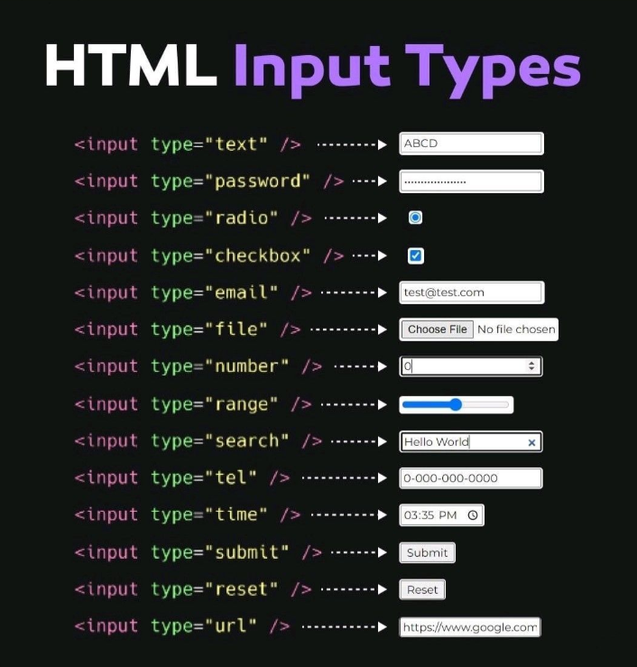 Publicação educativa sobre tipos de input no HTML